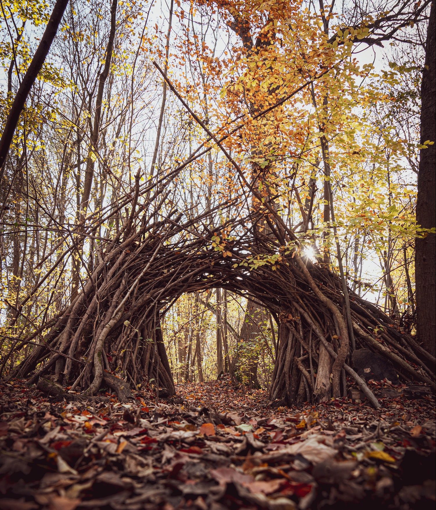 Identifying root causes for fun and sustainability